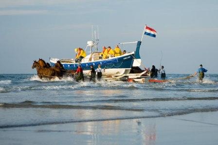 paardenreddingsboot  gaat uit in elke vakantie.